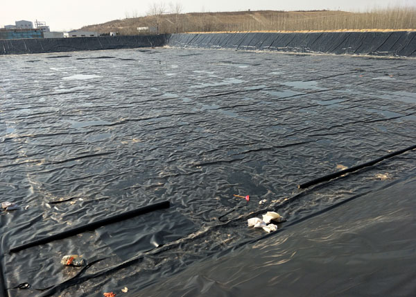 ����Ĥʩ��